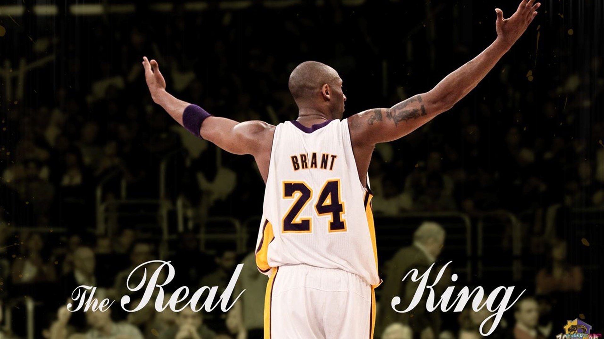 开云体育-“白色冰原：世界最极端赛段中的速夺瞬间”，白色冰川