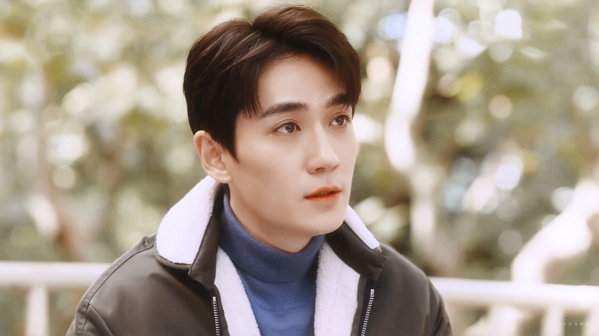 “雪原之王:极地雪地的速度传奇”,雪地最高点在哪