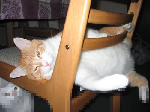 关注青少年安全和健康,推动台球运动规范化发展,青少年打台球