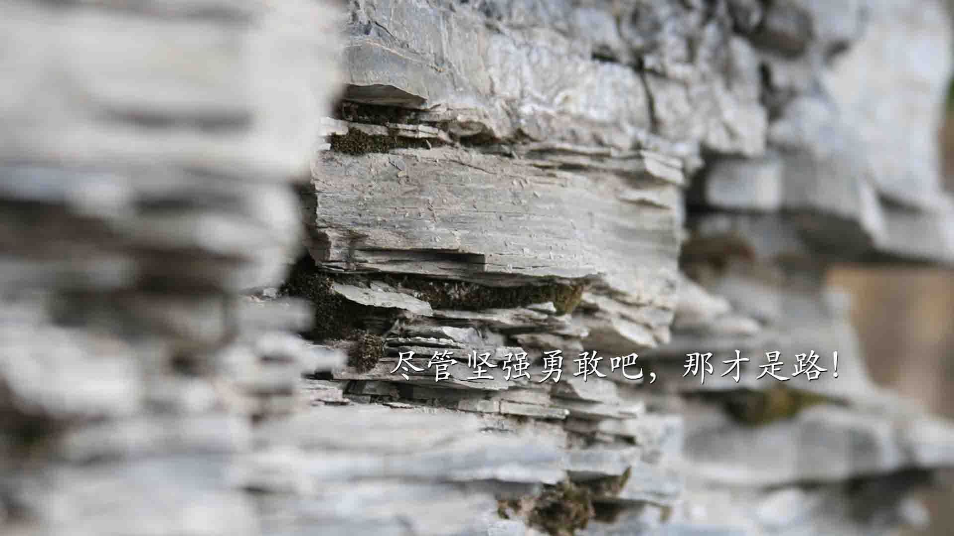 各俱乐部加快校园足球合作步伐,足球俱乐部与学校合作计划