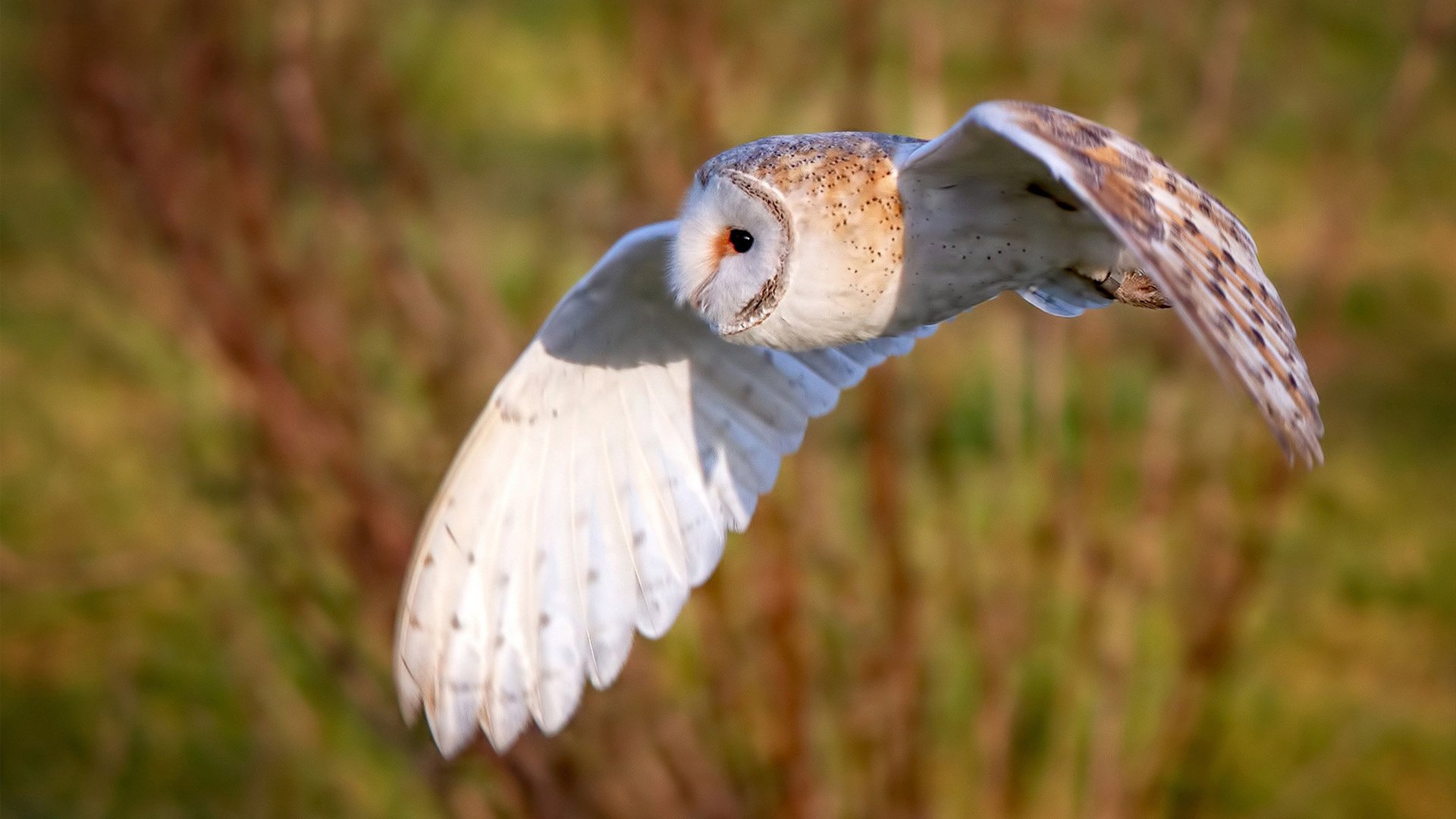 欧冠比赛中最恐怖的锋线组合盘点,欧冠最高分出局