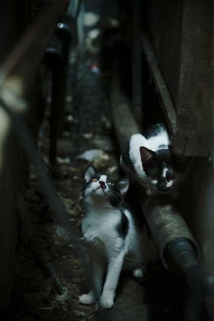 篮球青训基地扩建项目稳步推进,篮球青训中心怎么注册