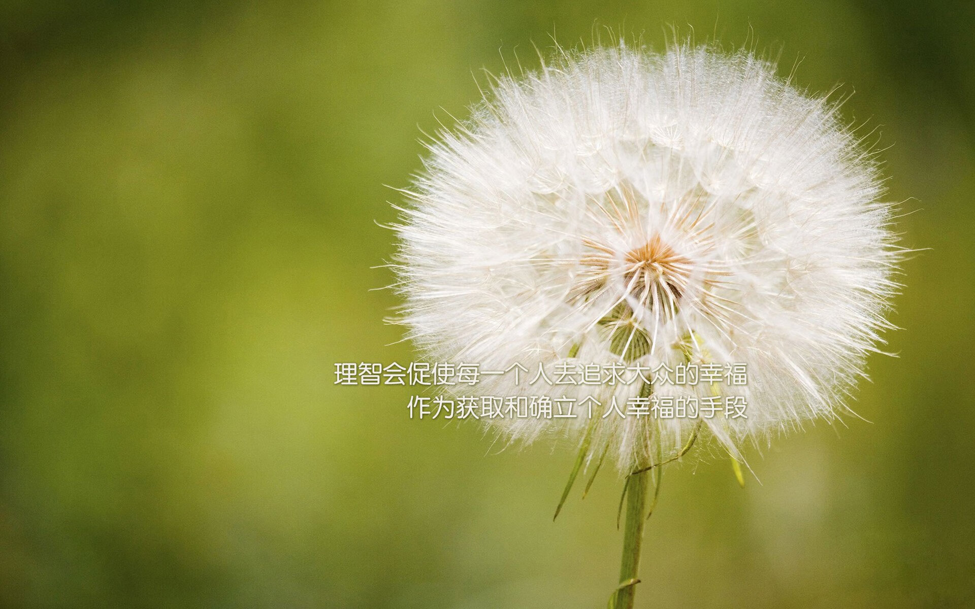 英格兰反曲弓队在2024年春季阿尔罗斯锦标赛中夺得男子团体银牌