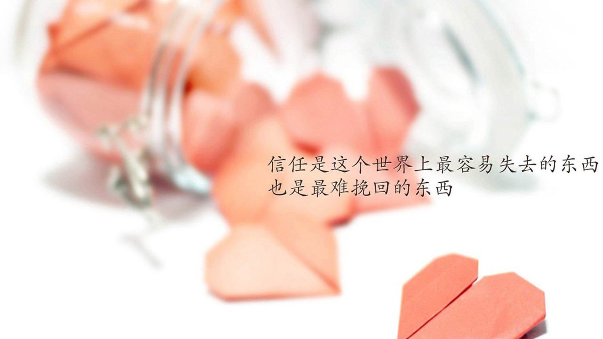 KPL裁判团队举办职业素养专题讲座,kpl世冠裁判小姐姐